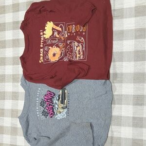2T Garanimals long sleeve graphic T-shirts set of two